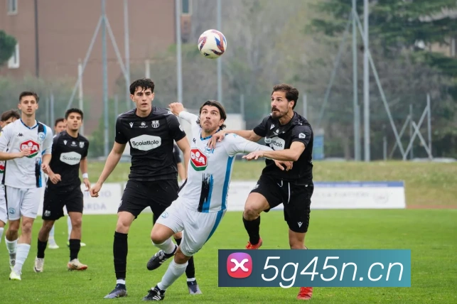 ayx官网登录平台生态图